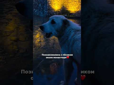 Гастроли Московского Казачьего Хора в Северную Осетию #осетия Гастроли Московского Казачьего Хора в Северную Осетию #осетия