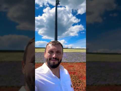 Здравствуй Москва!