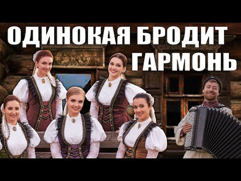Песня "Одинокая бродит гармонь" Московский Казачий Хор Песня "Одинокая бродит гармонь" Московский Казачий Хор