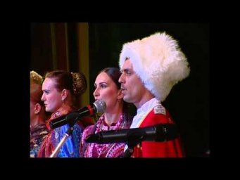 СИЗОКРЫЛЫЙ ОРЕЛ